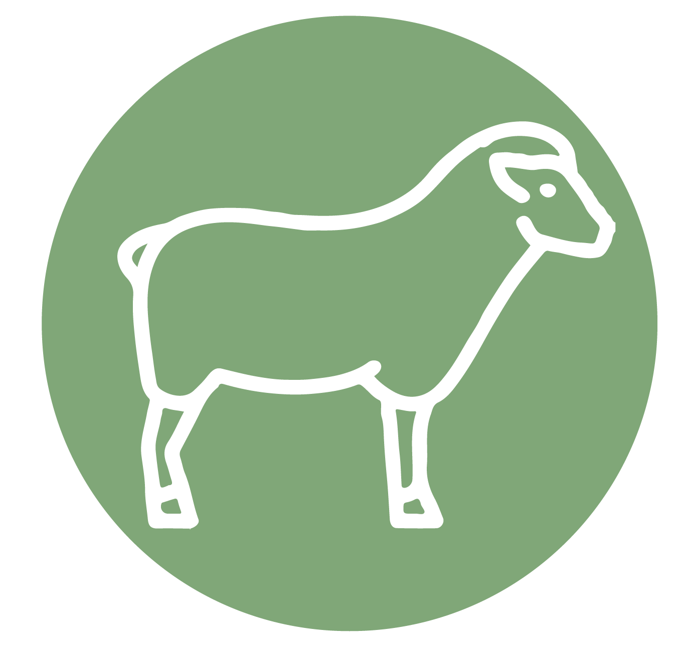 lamb icon